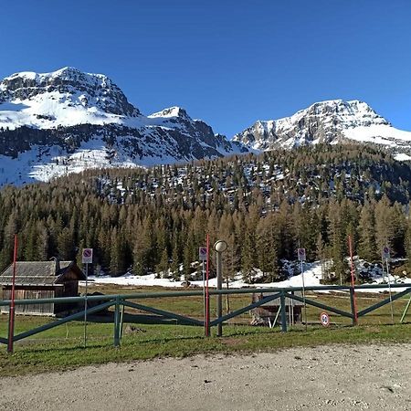 モエナCasa Dolomitiアパートメント エクステリア 写真