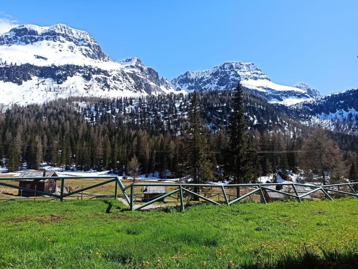 モエナCasa Dolomitiアパートメント エクステリア 写真